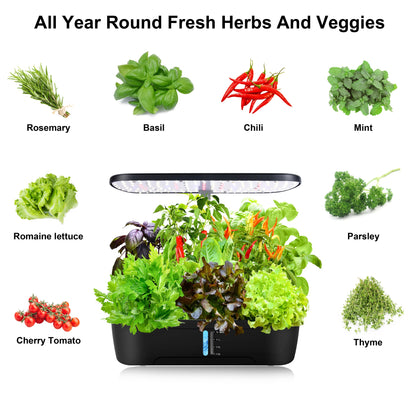 12 Pods Hydroponics Growing Box