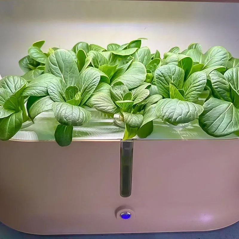 3 Layer Hydroponic Planting System