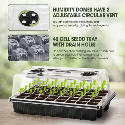 Black Seed Germination Tray