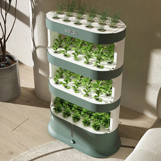 4 Layer Hydroponics Growing Box