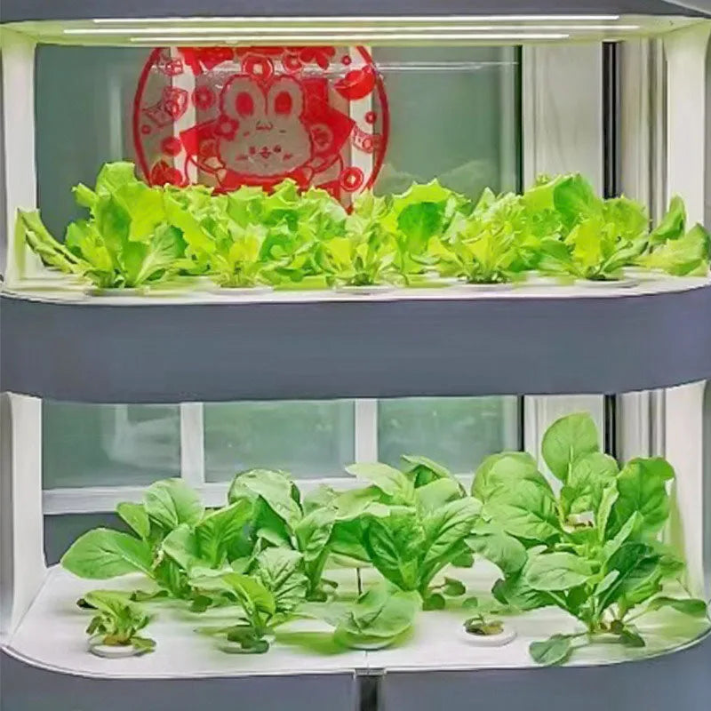 3 Layer Hydroponic Planting System