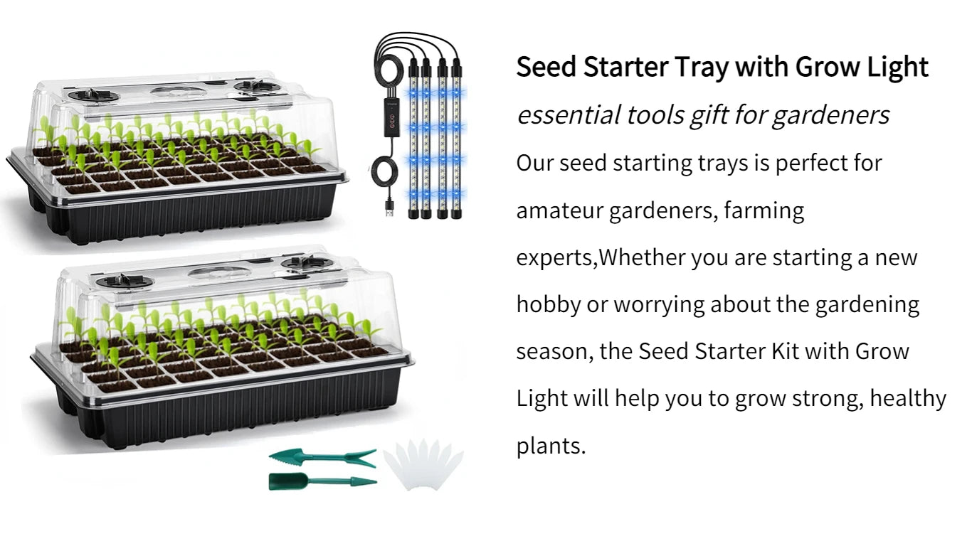 Black Seed Germination Tray