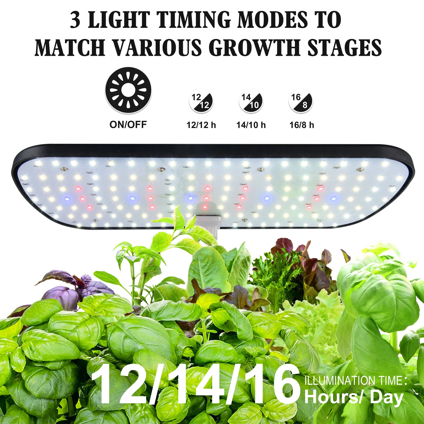 12 Pods Hydroponics Growing Box