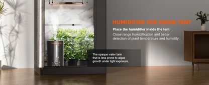 6L Cool Mist Humidifier for Plants