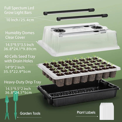 Black Seed Germination Tray