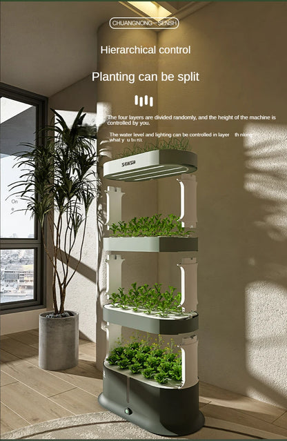 4 Layer Hydroponics Growing Box