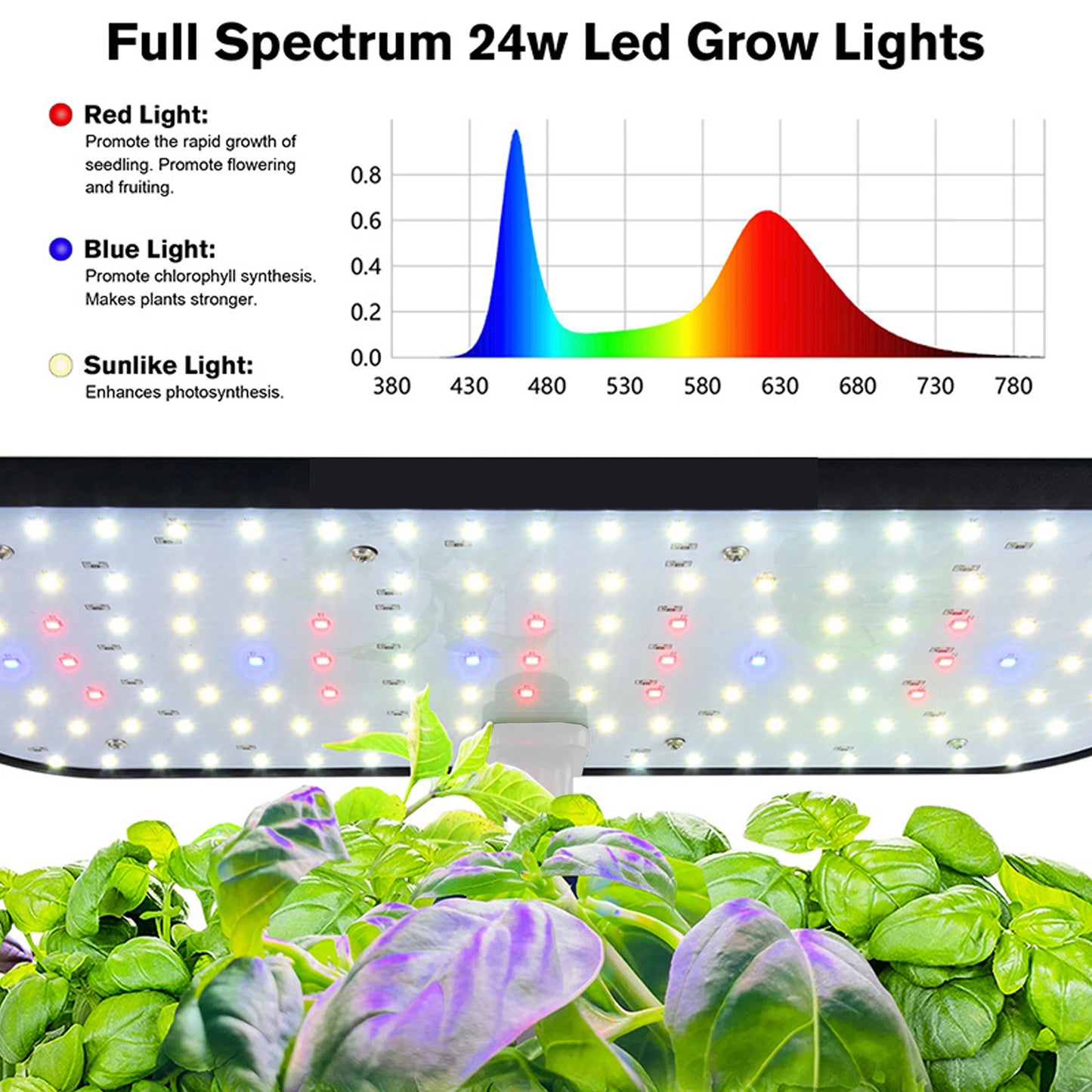 12 Pods Hydroponics Growing Box