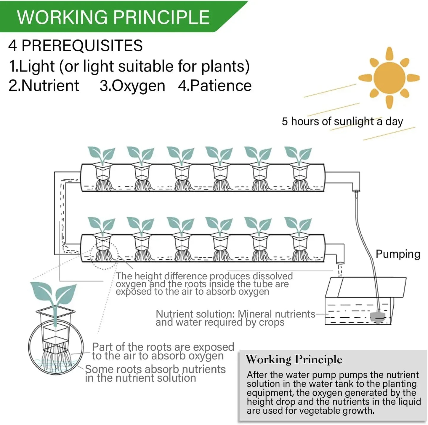 3 Layer 108 Sites Hydroponics System Growing Kits