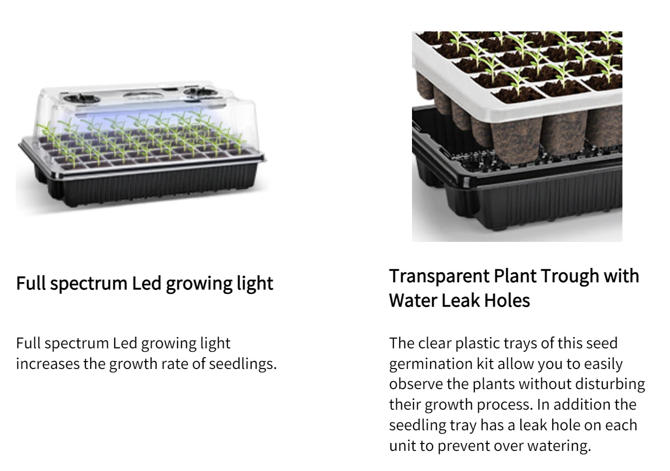 Black Seed Germination Tray