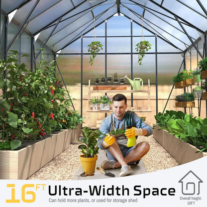 12 x 10 x 10 Ft Large Walk in Premium Plant Greenhouse