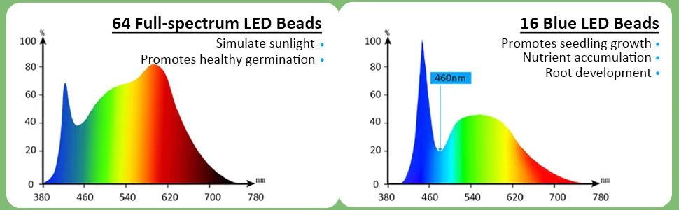 Green Seed Germination Kit