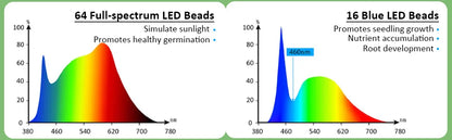 Green Seed Germination Kit