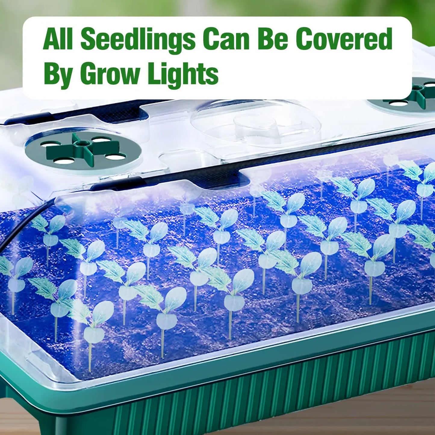 Green Seed Germination Kit