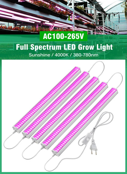 Plant Growing Lamp Bars