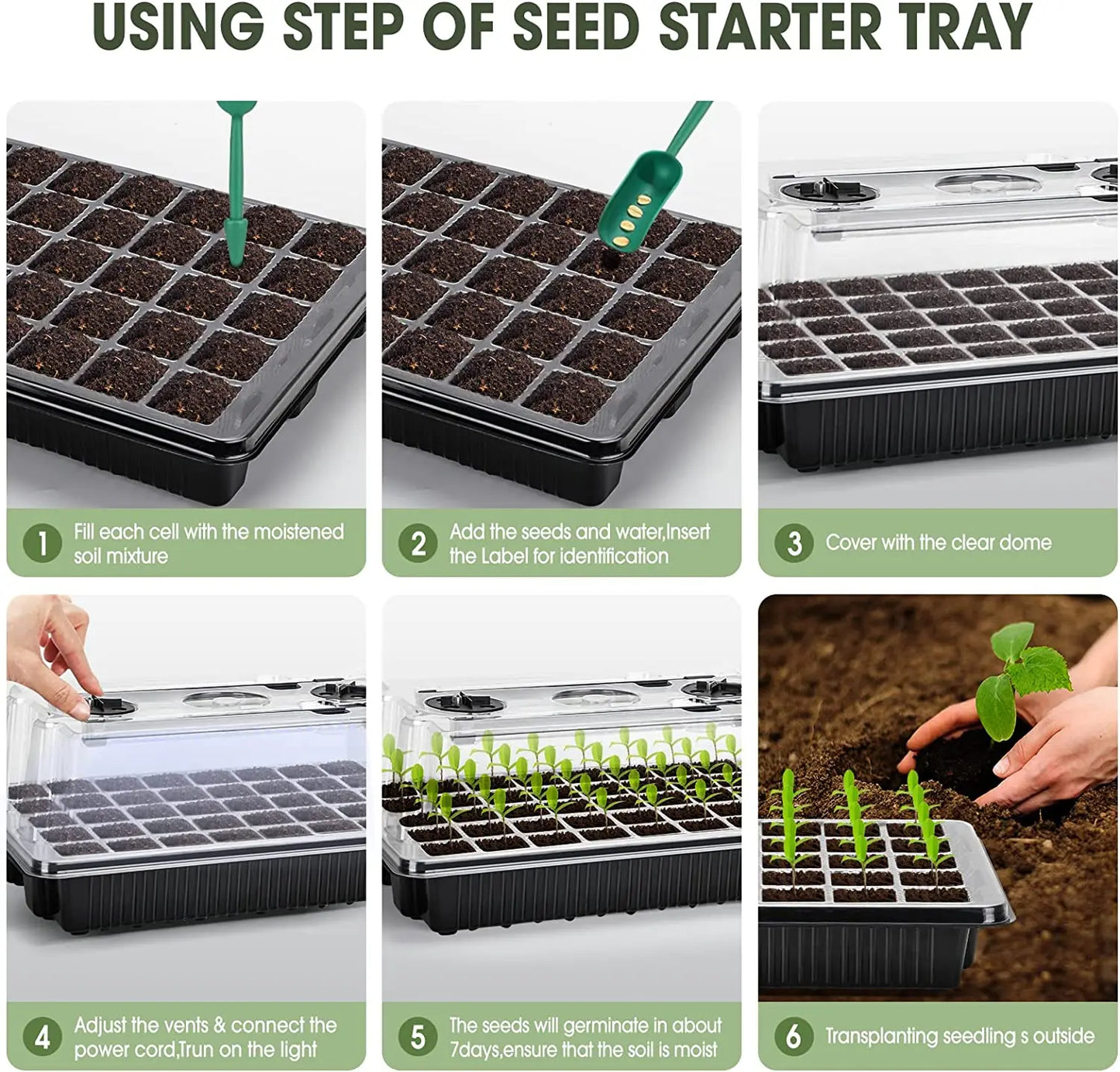 Black Seed Germination Tray