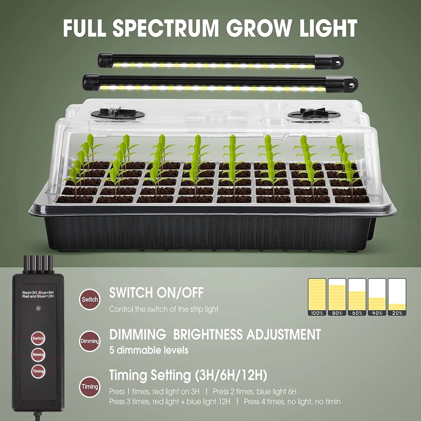 Black Seed Germination Tray