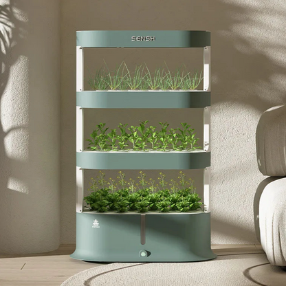 3 Layer Hydroponic Planting System