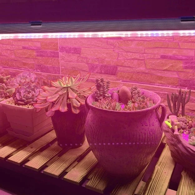 Plant Growing Lamp Bars