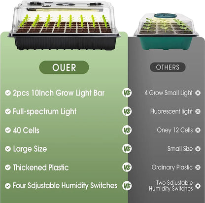 Black Seed Germination Tray