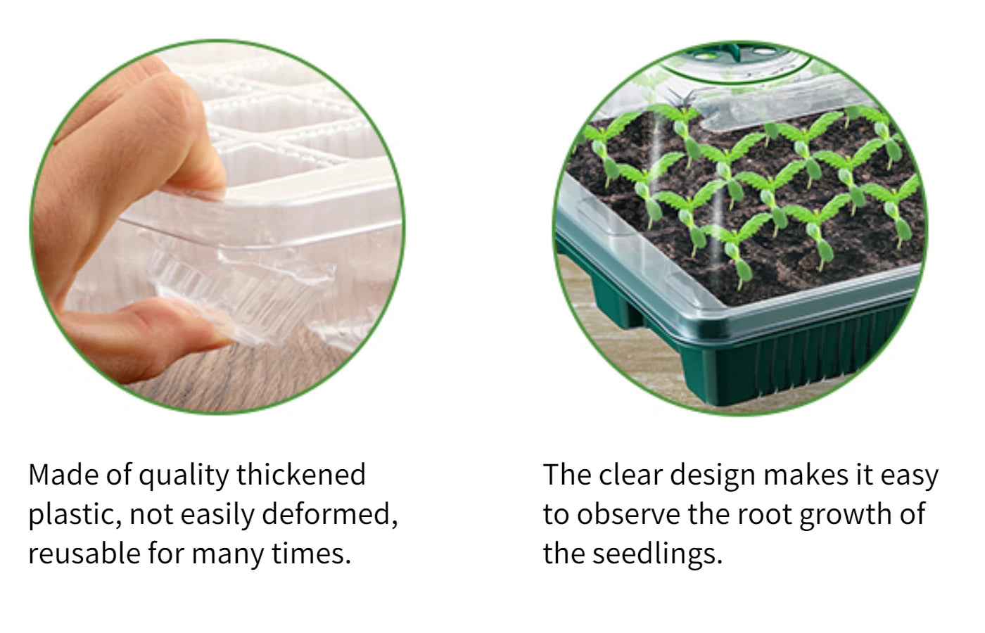 Green Seed Germination Kit