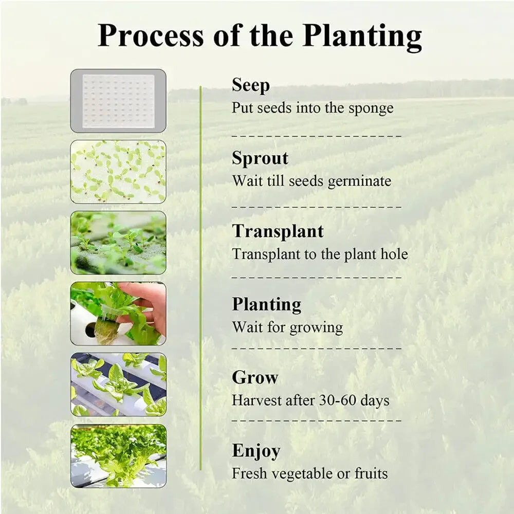 3 Layer 108 Sites Hydroponics System Growing Kits