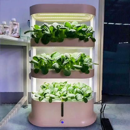 3 Layer Hydroponic Planting System